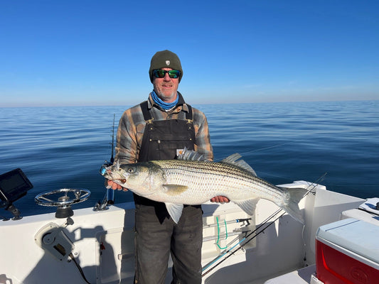 Chesapeake Bay Striped Bass Jigging